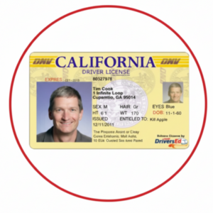 United States  Driving License – USA (All States)