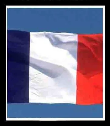 IMG_2976.jpeg 3 FRANCE VISA CC/CVV WITH €4,000-8000 BALANCE