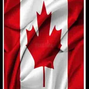 CANADA CCV WITH CREDIT HIGH LEVEL FRESHLY SNIFFED