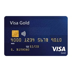 vcc USA Visa card $1K Balance - Image 3